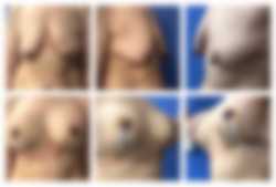 Chiroplastica, Wrocław - opinie i cennik 2026