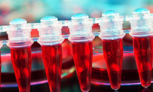 Komórki macierzyste to niewyspecjalizowane komórki zdolne do różnicowania się w inne typy komórek