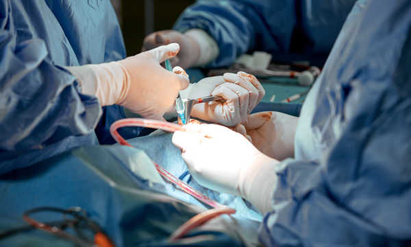 Operacja krzywej przegrody nosa