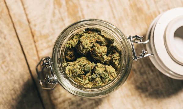 Jak działała medyczna marihuana?