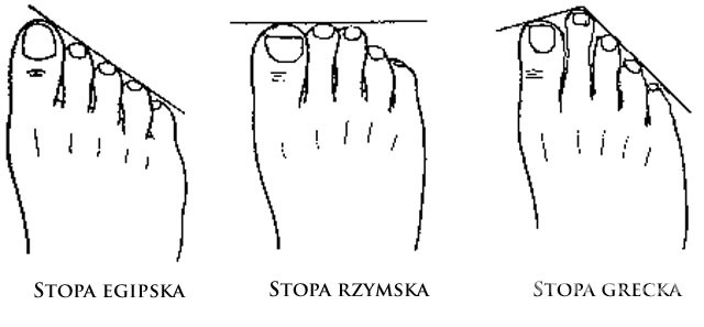 Porównanie rodzajów stóp - rysunek poglądowy