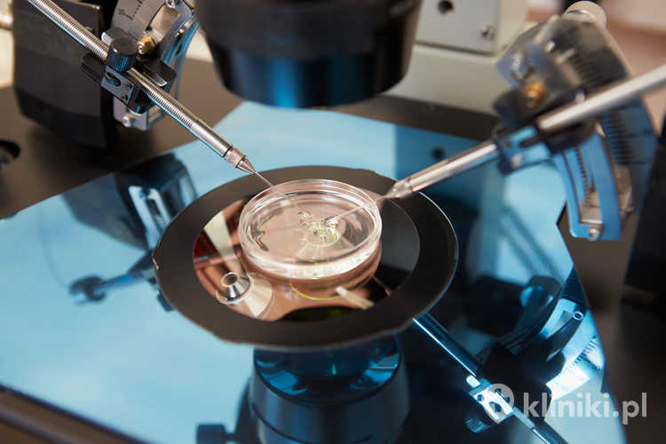 In vitro