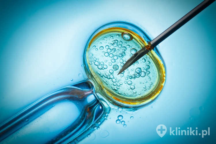 In vitro
