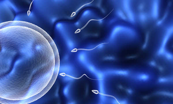 Inseminacja domaciczna