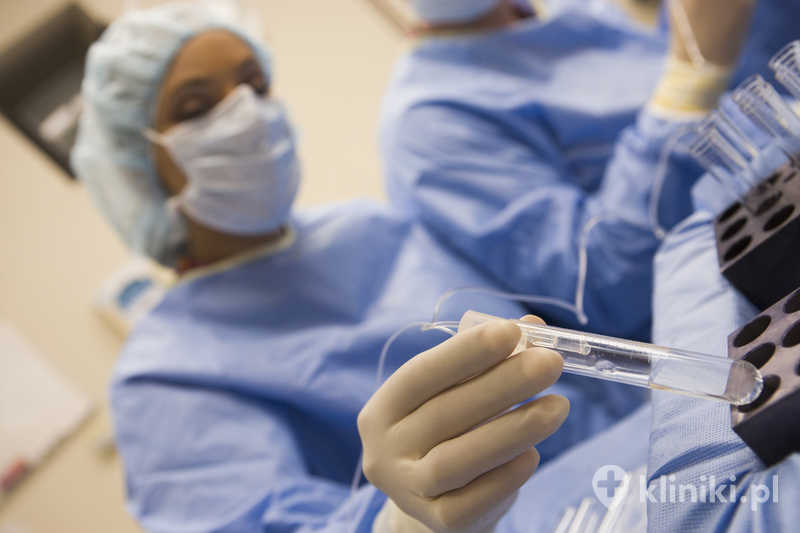 Leczenie niepłodności metodami in vitro polega na zapłodnieniu komórki jajowej poza organizmem kobiety Leczenie niepłodności metodami in vitro polega na zapłodnieniu komórki jajowej poza organizmem kobiety
