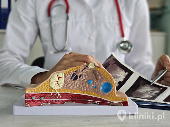 Anatomia piersi kobiecej