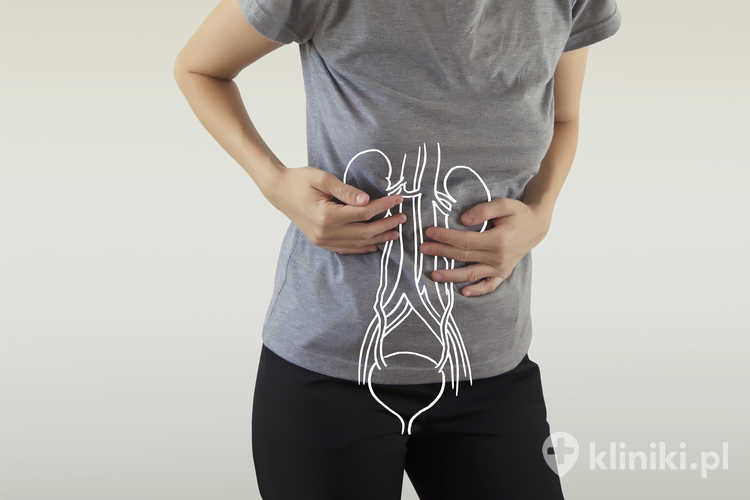 Anatomia nerek kobiety