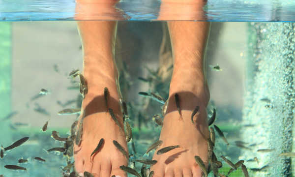 Rybki Garra Rufa - naturalny pedicure