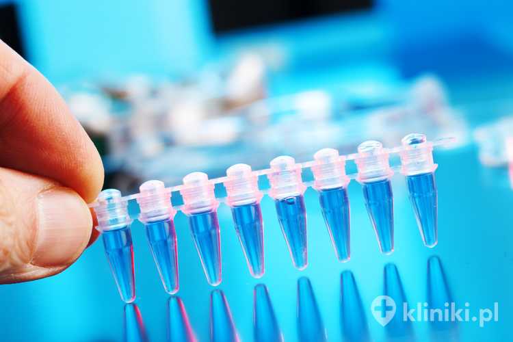 Etapy analizy próbki DNA
