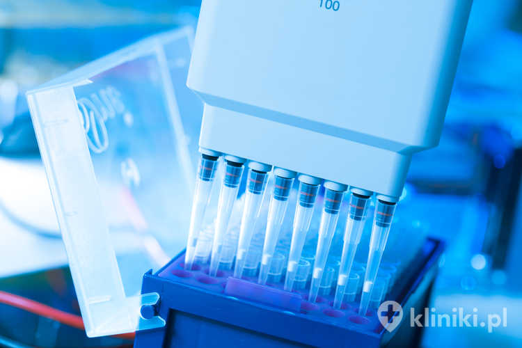 Badania w laboratorium genów odpowiedzialnych za raka prostaty