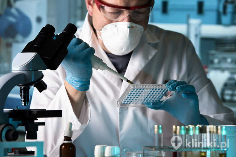 nżynier biomedyczny pracujący z próbkami w mikropłytce w laboratorium