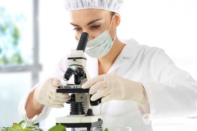 Laborantka bada materiał poronny pod mikroskopem