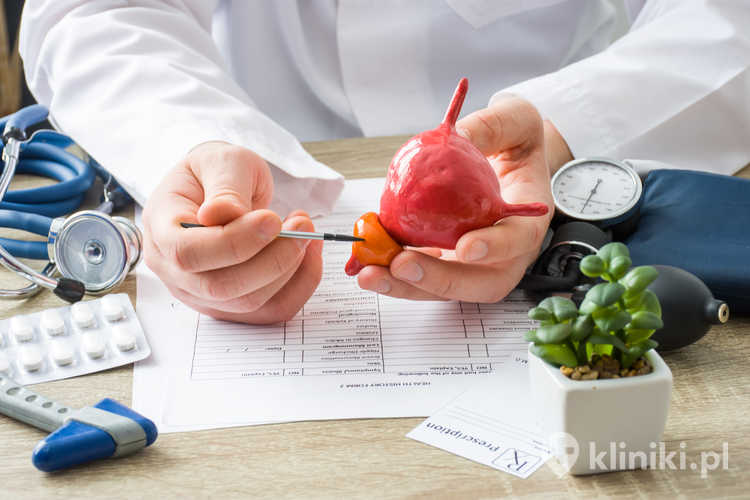 Lekarz pokazuje pacjentowi kształt gruczołu krokowego, wyjaśnia przyczyny i lokalizację chorób prostaty u pacjenta
