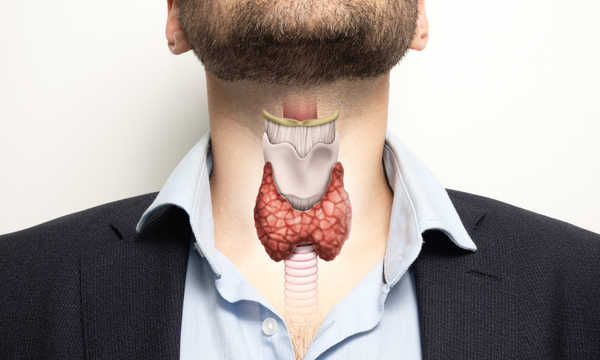 Zdjęcie tarczycy w organizmie człowieka