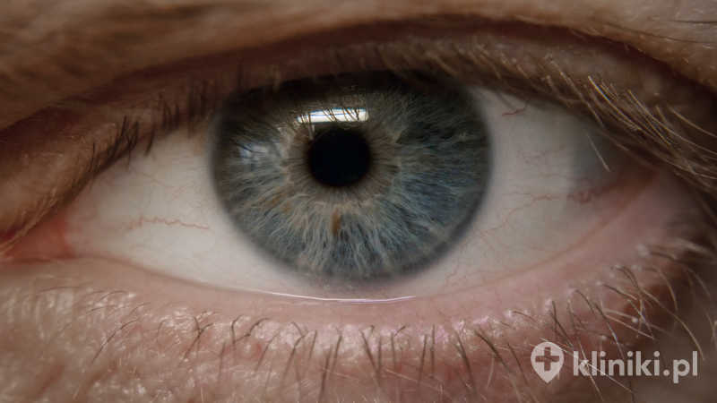 Odmładzanie siatkówki