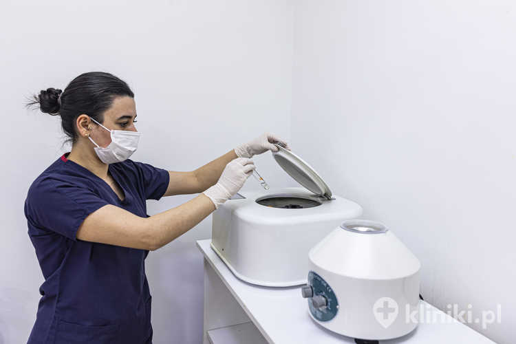 Najpopularniejsze zabiegi z osoczem bogatopłytkowym