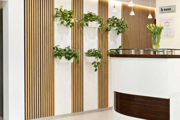 Gabinet Dental Clinic Katowice