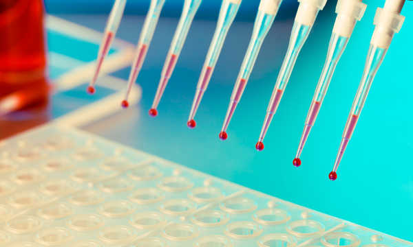 Komórki macierzyste w ortopedii są wykorzystywane jako nowoczesna metoda wspomagająca regenerację tkanek układu ruchu