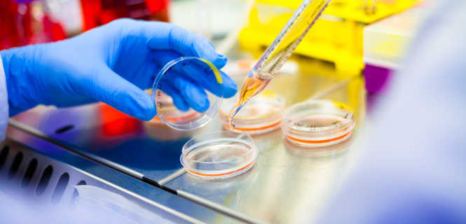 Leczenie ran i oparzeń z zastosowaniem komórek macierzystych - jak to działa?