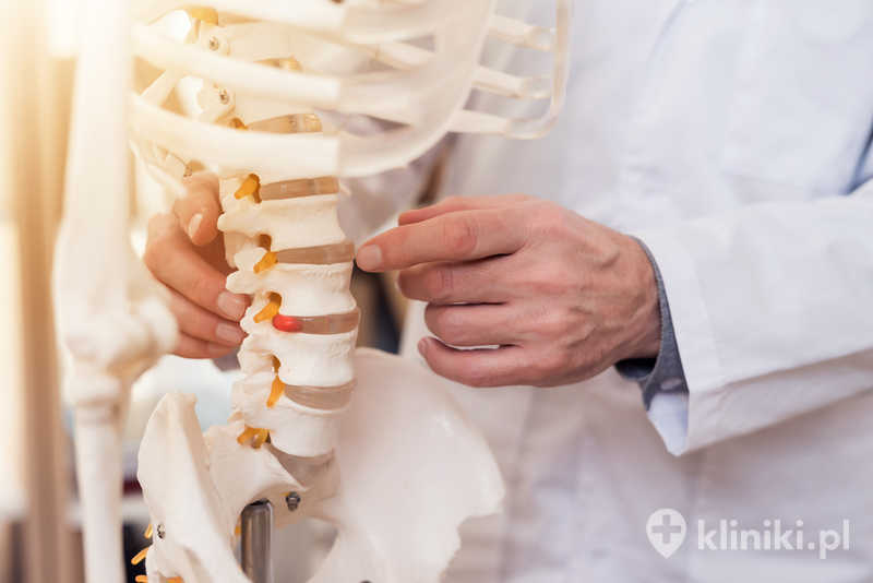 Lekarz w białym fartuchu wskazuje kręgi na szkielecie Lekarz w białym fartuchu wskazuje kręgi na szkielecie