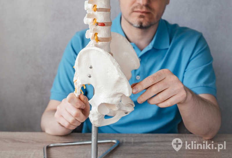 Zbliżenie na dłoń lekarza wskazującą staw krzyżowo-biodrowy na modelu kręgosłupa Zbliżenie na dłoń lekarza wskazującą staw krzyżowo-biodrowy na modelu kręgosłupa