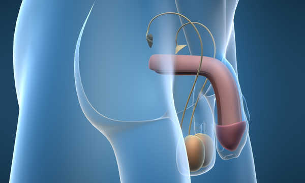 Nieinwazyjne leczenie przerostu prostaty aparatem Tempro