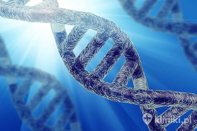 Markery DNA