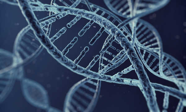 Wykonywanie testów wykrywających zmiany DNA zaleca się szczególnie osobom  z rodzinnym obciążeniem nowotworem
