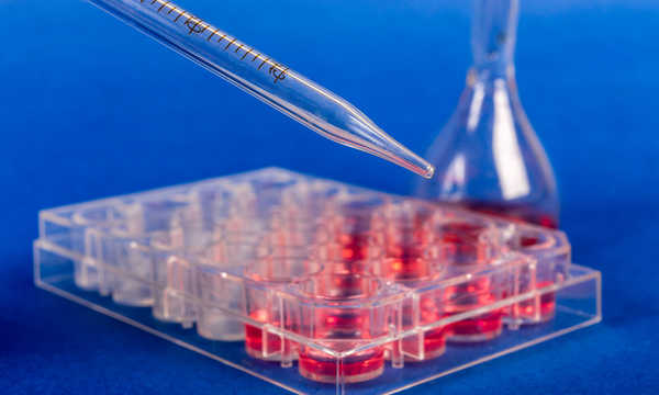 Zastosowanie komórek macierzystych w zabiegach rekonstrukcyjnych wspiera regenerację tkanek po urazach i operacjach