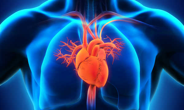 Badanie USG serca z próbą dobutaminową