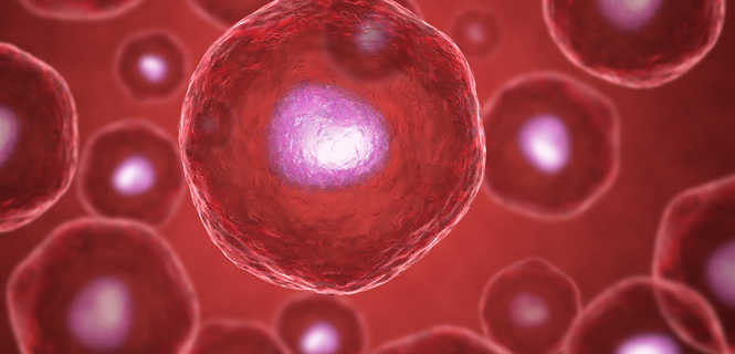 Usuwanie zmarszczek komórkami macierzystymi Lipogems