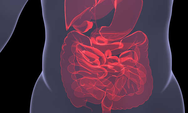 Leczenie zakażenia Clostridium difficile metodą transplantacji flory fekalnej pozwala odtworzyć prawidłową mikrobiotę jelitową