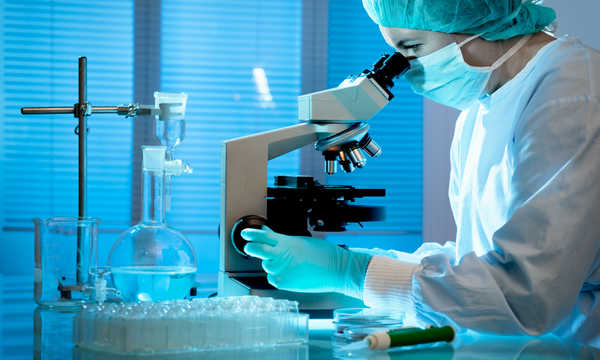 Praca w laboratorium nad znalezieniem powodu poronienia - badanie płodu