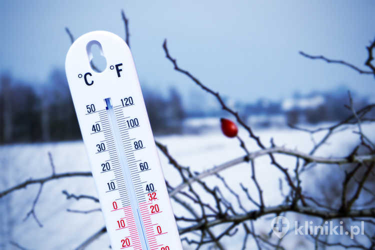 Niska temperatura a metabolizm