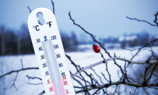 Niska temperatura pomoże w walce z nadwagą?