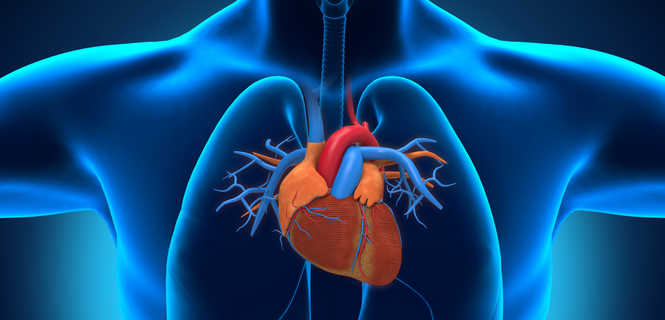 Przeprowadzono nowatorską operację rekonstrukcji niedomykalnej zastawki aortalnej serca