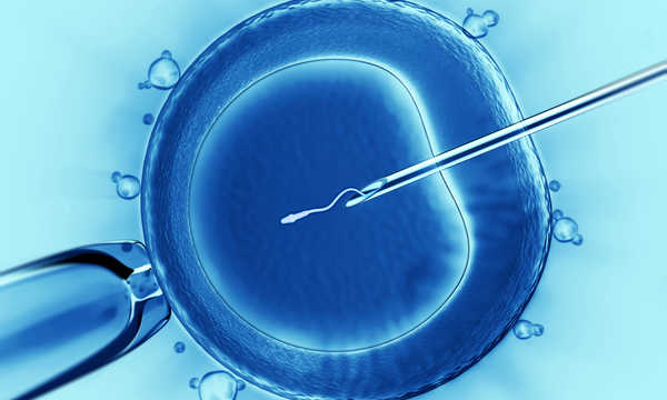 Rządowy program in vitro - podsumowanie