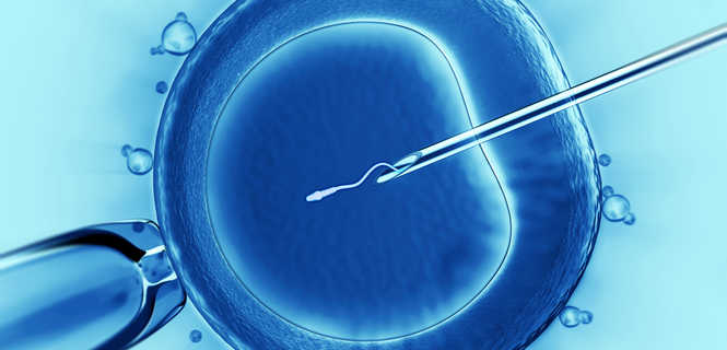 Rządowy program in vitro - podsumowanie