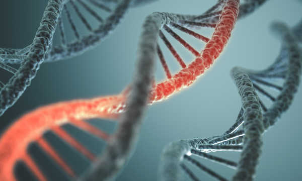 Uszkodzone DNA człowieka